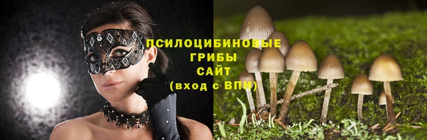 молекула духа Верхний Тагил