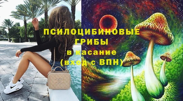 молекула духа Верхний Тагил