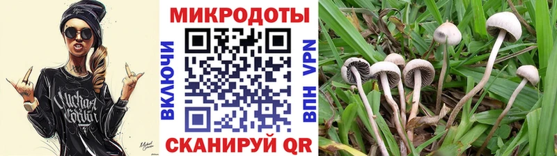 Купить где  Домодедово  Псилоцибиновые грибы MAGIC MUSHROOMS 